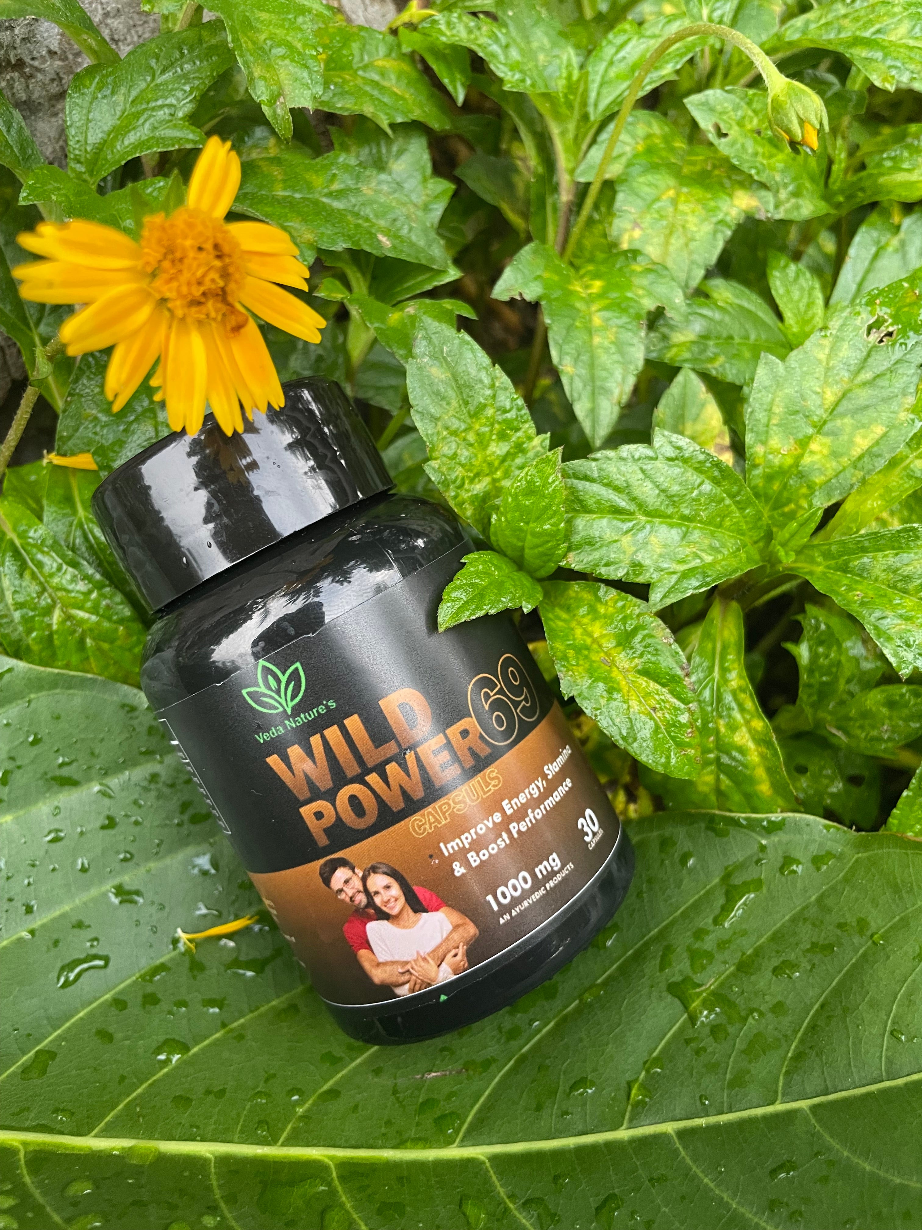 VEDA NATURES Wild Power 69 Capsule